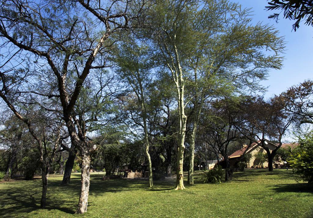 Sunbird Lodge Phalaborwa Zewnętrze zdjęcie