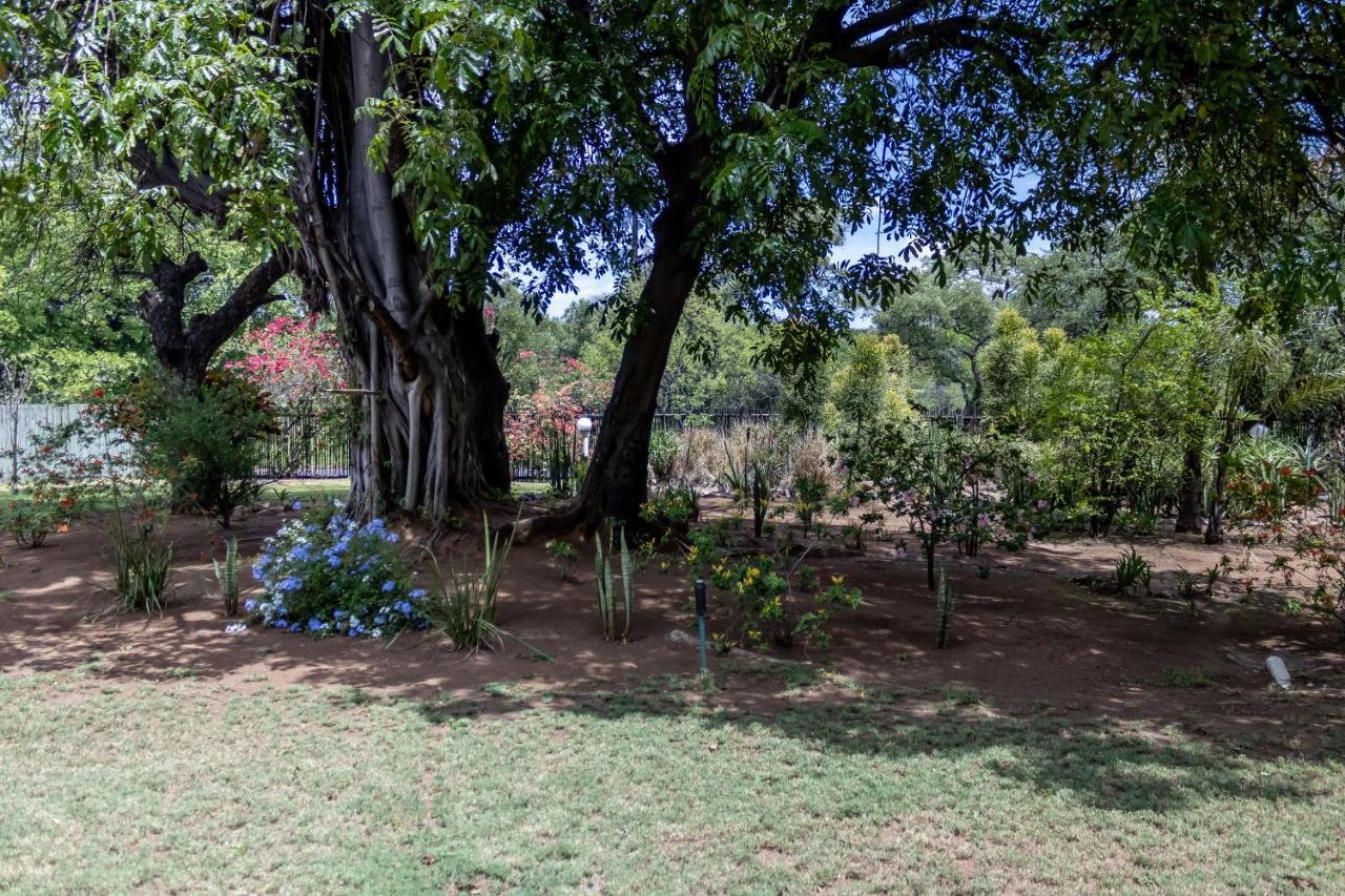 Sunbird Lodge Phalaborwa Zewnętrze zdjęcie