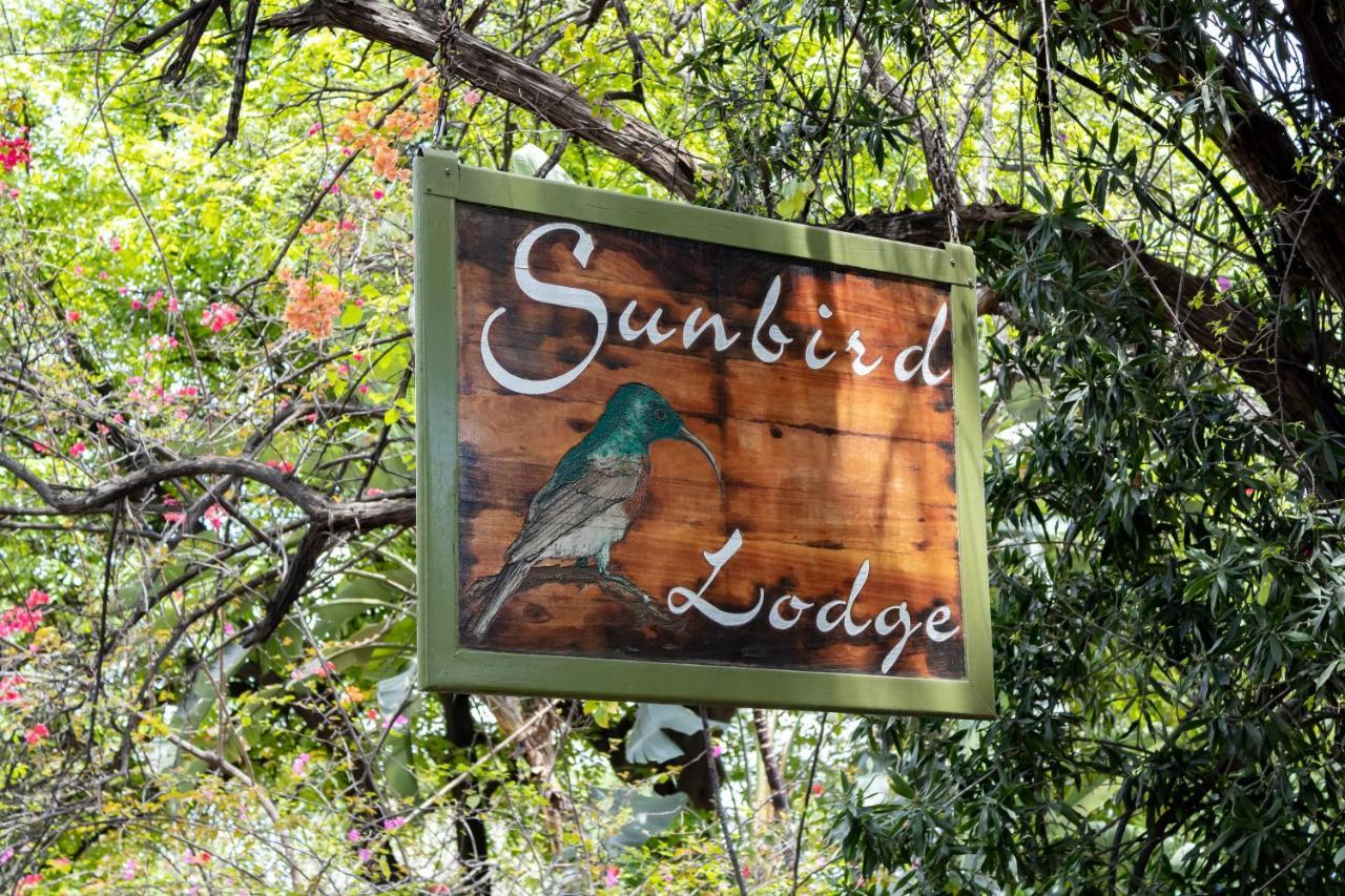 Sunbird Lodge Phalaborwa Zewnętrze zdjęcie
