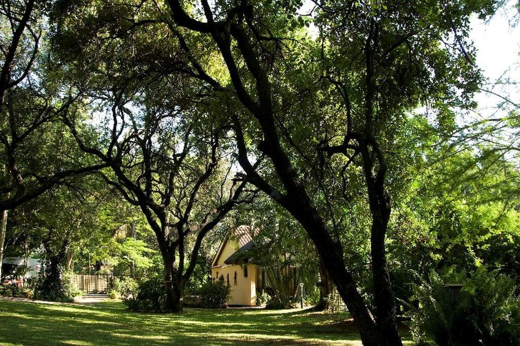 Sunbird Lodge Phalaborwa Zewnętrze zdjęcie