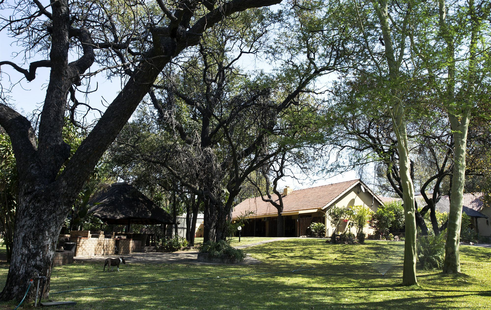 Sunbird Lodge Phalaborwa Zewnętrze zdjęcie